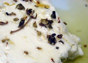 cheese recipes