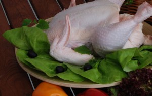 cicken meat in aspic