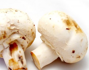 ciuperci dulci