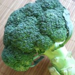fresh broccoli