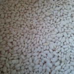 beans