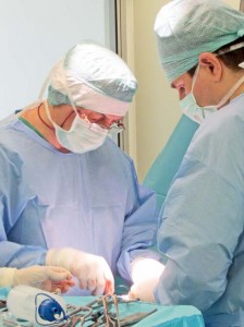 hernia de disc