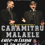 spectacol teatrul national bucuresti